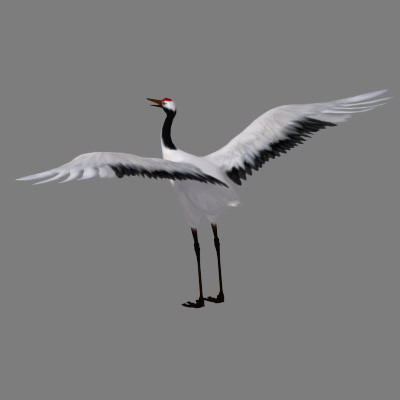 obj crane flight - Crane by Bird Studio
